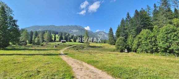 1950m² Land in Bad Mitterndorf, Austria No. 243611 9
