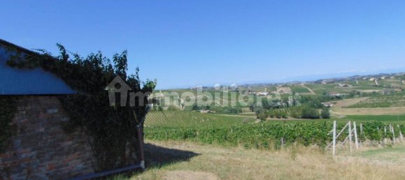11 bedrooms House in Nizza Monferrato, Italy No. 166059 13