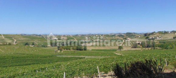 11 bedrooms House in Nizza Monferrato, Italy No. 166059 11