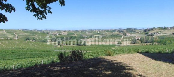 11 bedrooms House in Nizza Monferrato, Italy No. 166059 9