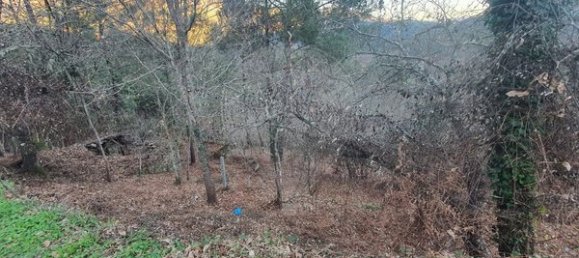 1 غرف نوم منزل في Sao Pedro do Sul, Portugal رقم 185075 12