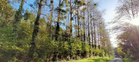 41678m² Land in Javron-les-Chapelles, France No. 79002 2