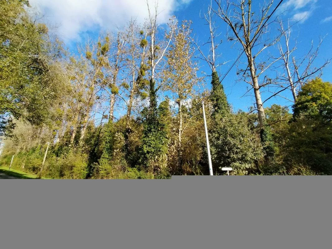 41678m² Land in Javron-les-Chapelles, France No. 79002