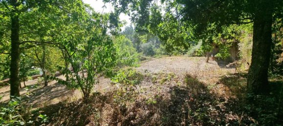 4 bedrooms House in Mortagua, Portugal No. 168924 47