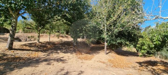 4 bedrooms House in Mortagua, Portugal No. 168924 40