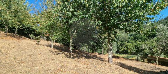 4 bedrooms House in Mortagua, Portugal No. 168924 42