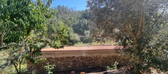 4 bedrooms House in Mortagua, Portugal No. 168924 41