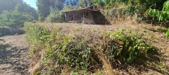 4 bedrooms House in Mortagua, Portugal No. 168924 45