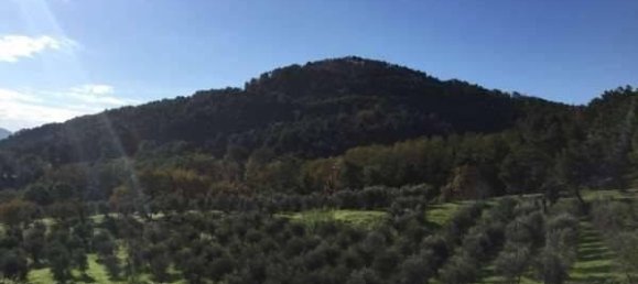 Villa de 7 habitaciónes en Chianni, Italy No. 155468 12