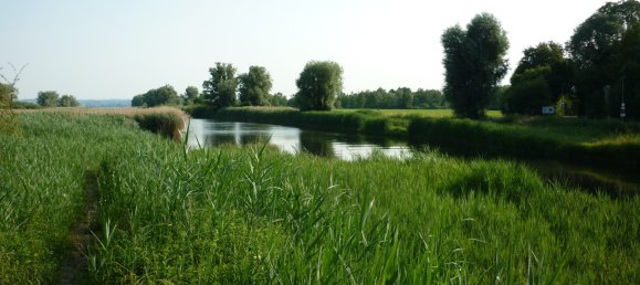  Land in Hard, Austria No. 61684 5