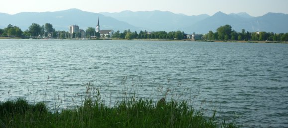  Land in Hard, Austria No. 61684 6