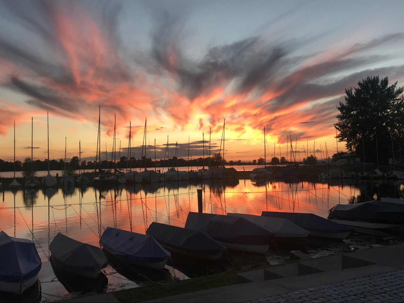  Land in Hard, Austria No. 61684