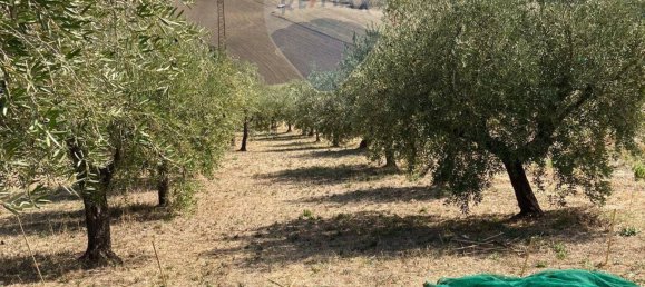 5 غرف نوم منزل في Castel Frentano, Italy رقم 52553 17