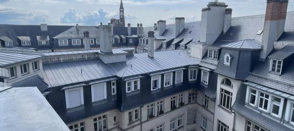 5 chambres Appartement à Strasbourg, France No. 269659 6