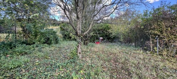 4 Schlafzimmer Haus in Cramant, France, Nr. 223664 18