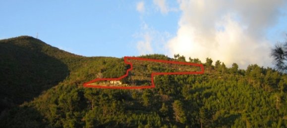 11246m² Hotel in Budva, Montenegro No. 147 4