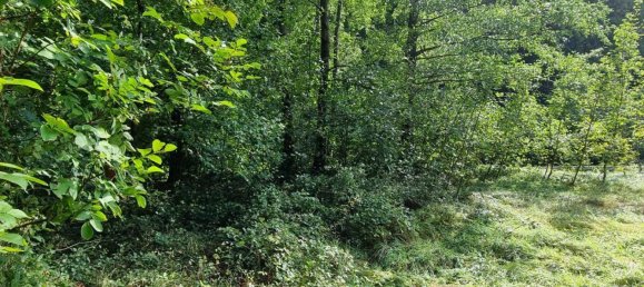 Terrain à Altlengbach, Austria 700m² No. 97047 7