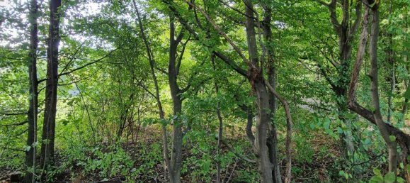 Terrain à Altlengbach, Austria 700m² No. 97047 8