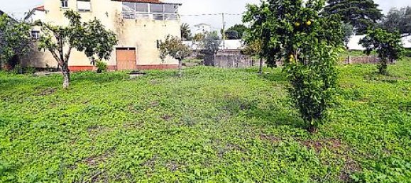 3 bedrooms House in Abiul, Portugal No. 24373 3