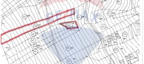 4880m² Land in Ferreira do Zezere, Portugal No. 71232 3