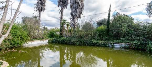 4 bedrooms House in Sao Bartolomeu de Messines, Portugal No. 102120 20