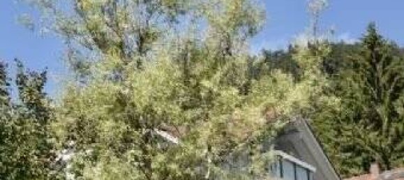 3 rooms Apartment in Oberallgau, Germany No. 125615 10