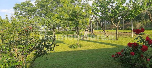  مستودع في Genzano di Roma, Italy 50متر مربع رقم 336538 12