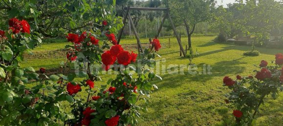  مستودع في Genzano di Roma, Italy 50متر مربع رقم 336538 16