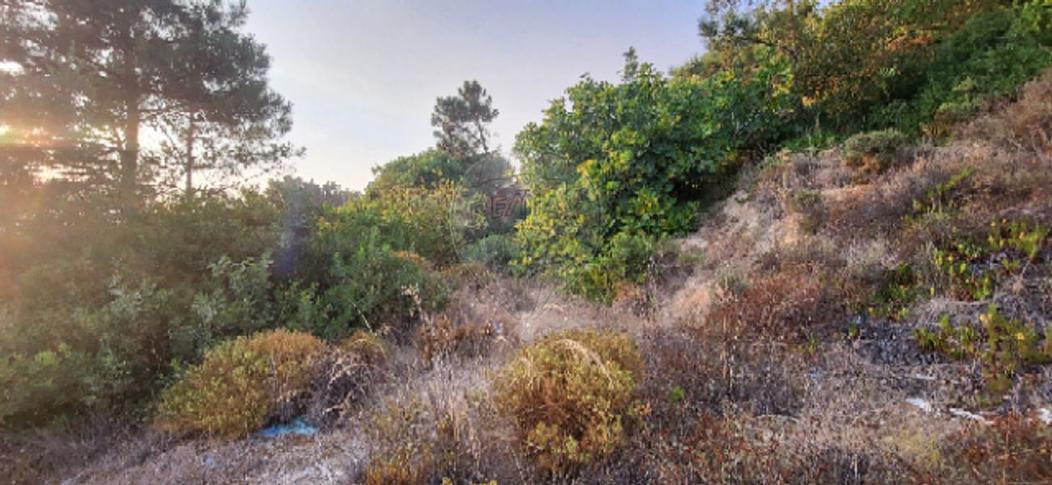 Земельный участок в Кошта да Капарика, Португалия № 247993