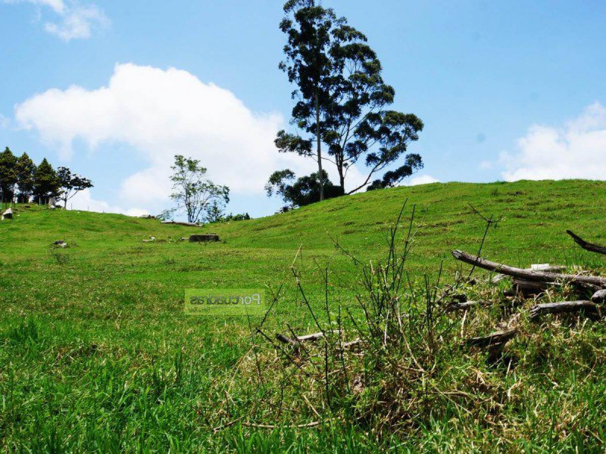  Land in Antioquia, Colombia No. 770