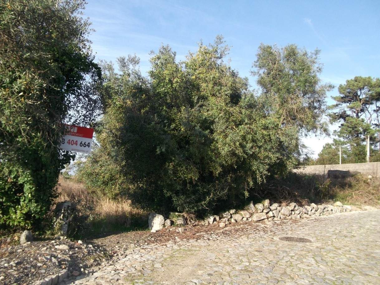 Terreno em Caminha, Portugal 1190 m² N.º 93777