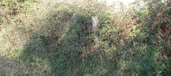 Terreno em Caminha, Portugal 1190 m² N.º 93777 4