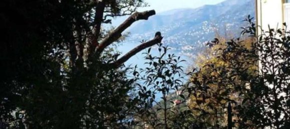 7 rooms Apartment in Camogli, Italy No. 162431 11