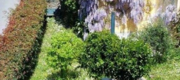 7 rooms Apartment in Camogli, Italy No. 162431 6