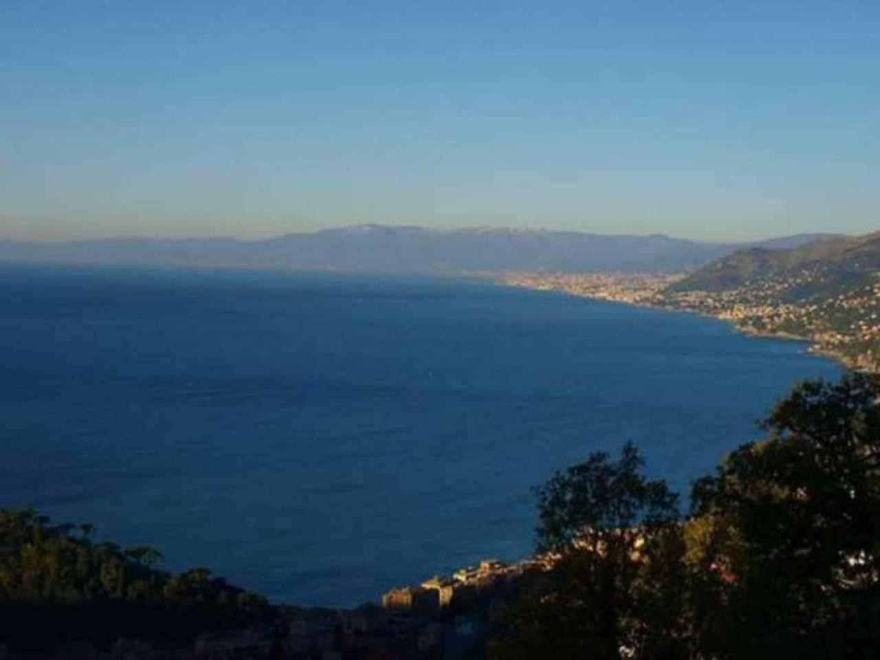 7 rooms Apartment in Camogli, Italy No. 162431