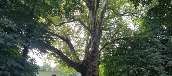 Бунгало с 4 комнатами в Зебенштайн, Австрия № 192729 19