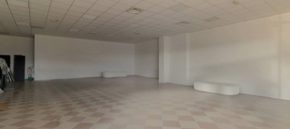 3 rooms Commercial property in Montirone, Italy No. 72860 6