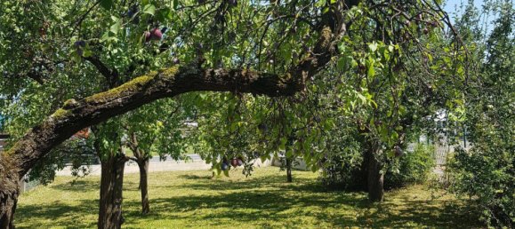 6-Zimmer Haus in Straßgang, Austria, Nr. 215509 14