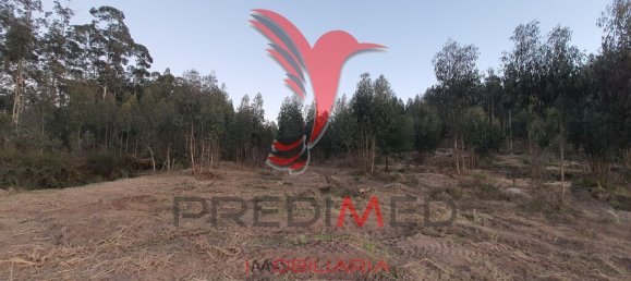 16000m² Land in Paco de Sousa, Portugal No. 54413 4