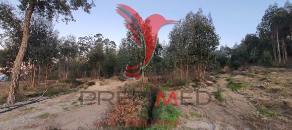 16000m² Land in Paco de Sousa, Portugal No. 54413 3