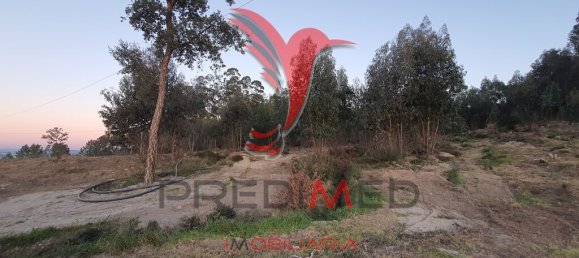 16000m² Land in Paco de Sousa, Portugal No. 54413 2