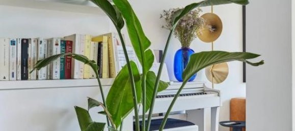 4 bedrooms Apartment in Paris, France No. 347302 11