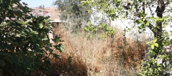 Casa T3 em Santana de Cambas, Portugal N.º 152239 13