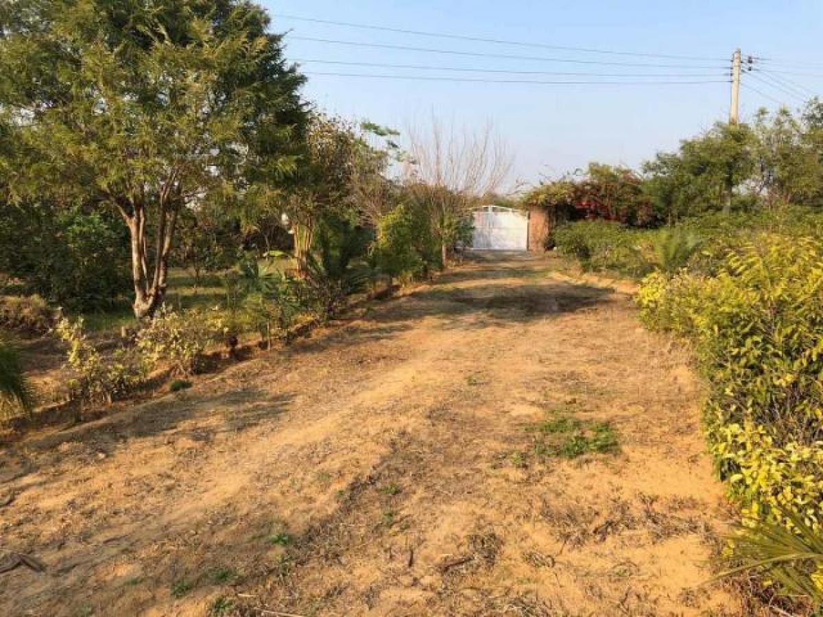  Land in Gurgaon, India No. 33372
