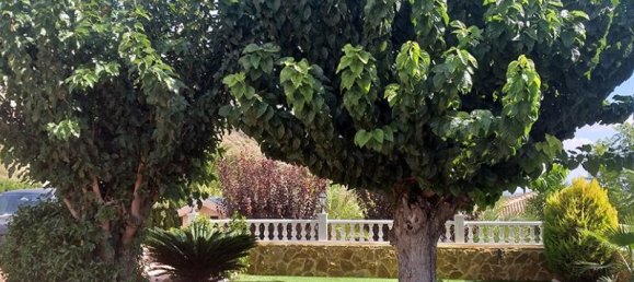 Villa T5 em Hondon De Las Nieves, Spain N.º 67470 36