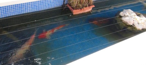 Villa T5 em Hondon De Las Nieves, Spain N.º 67470 8