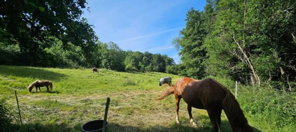 7 rooms Farm in Bad Kreuznach, Germany No. 315495 17