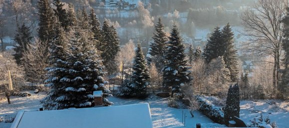 2 bedrooms Townhouse in Vogtlandkreis, Germany No. 25812 15