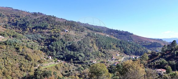 Дом с 4 спальнями в Байан, Португалия № 28067 13