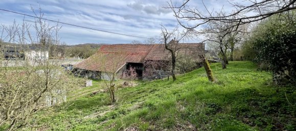 3 غرف نوم منزل في Tagolsheim, France رقم 236607 10